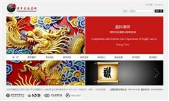 北京传诚信网站建设公司 第17页网站设计案例精析