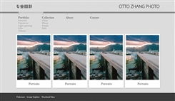 北京传诚信网站建设公司案例展示第8页